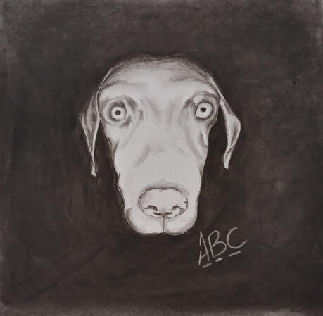 Charcoal Drawing- I can't give a reason to why I drew this